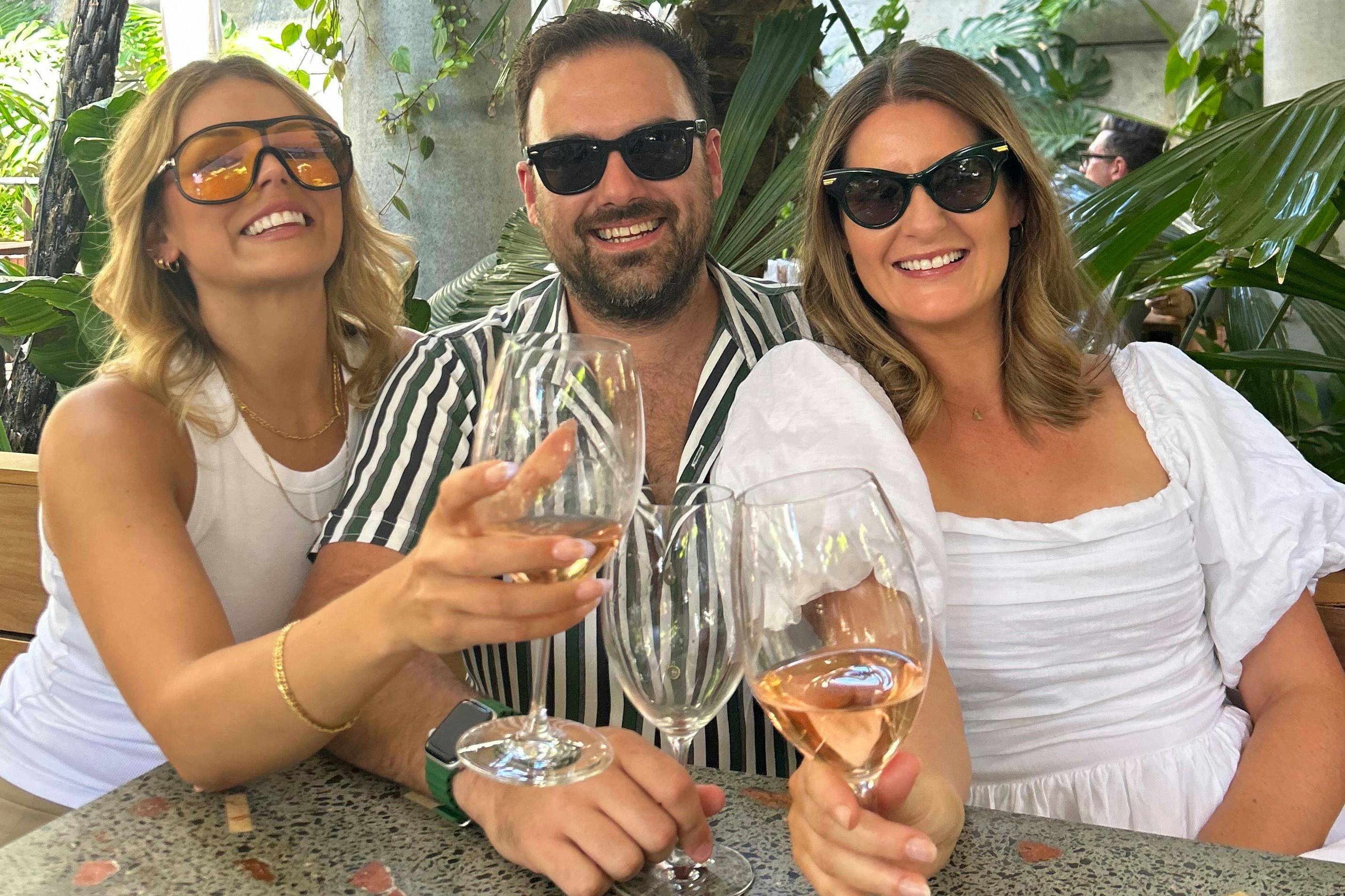 Friends cheers their wines at dinner